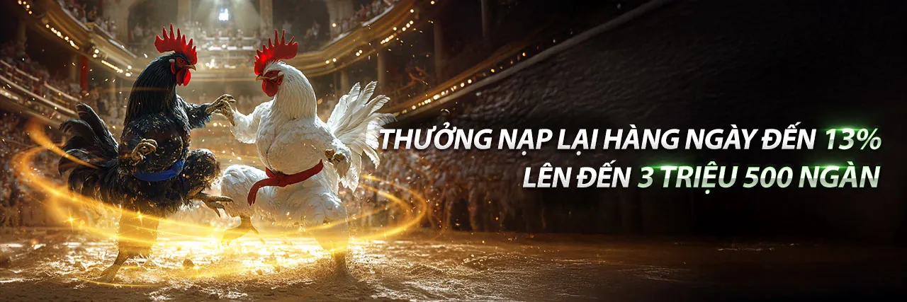 Đá gà trực tuyến QQ8 Nổ Hũ 2026, sân chơi cá cược đỉnh cao